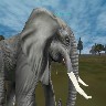 elephant3.jpg (88085 bytes)