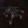 Dead Werewolf.jpg (29015 bytes)