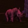 Rhino.jpg (11073 bytes)
