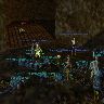 BB Newbie event.jpg (79217 bytes)