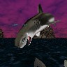 sharkfly.jpg (82518 bytes)